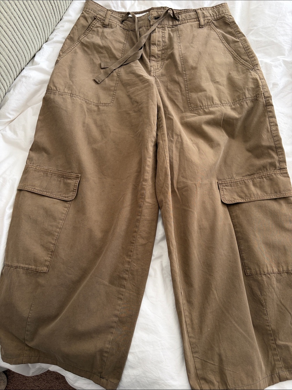 Zara Wide-Leg Cargo Pants in Brown